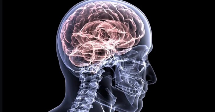 Alzheimer, anticorpo A13: la molecola che ringiovanisce il cervello, una scoperta storica