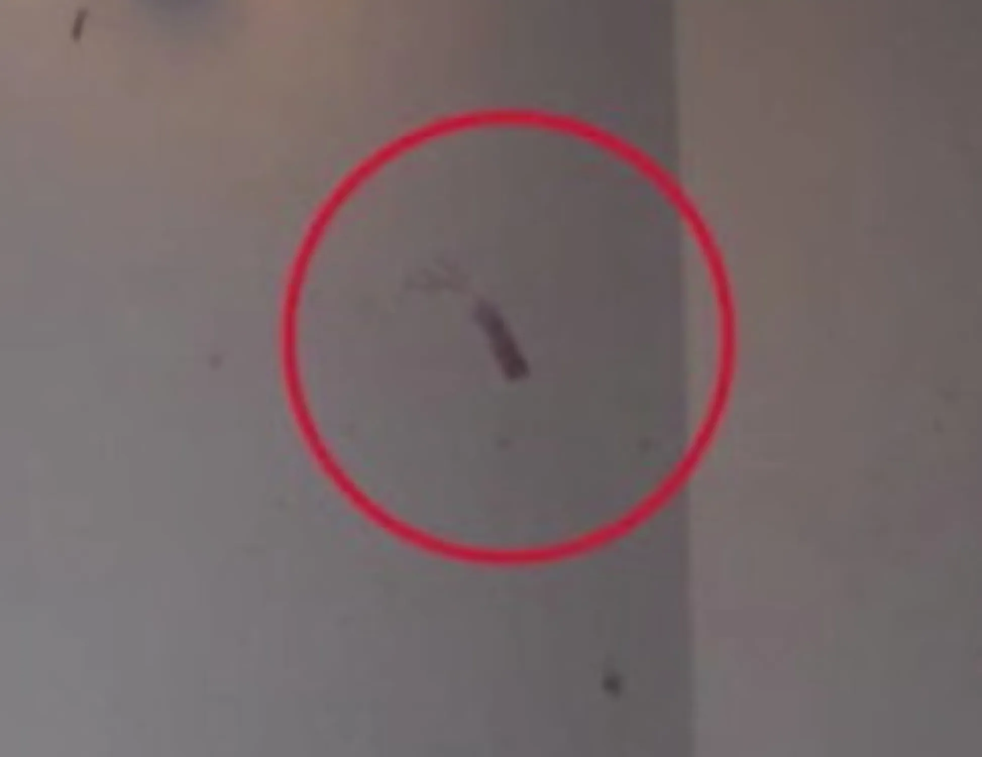 Leggi l'articolo: 28 impronte nel villino di Garlasco: ecco di chi sono