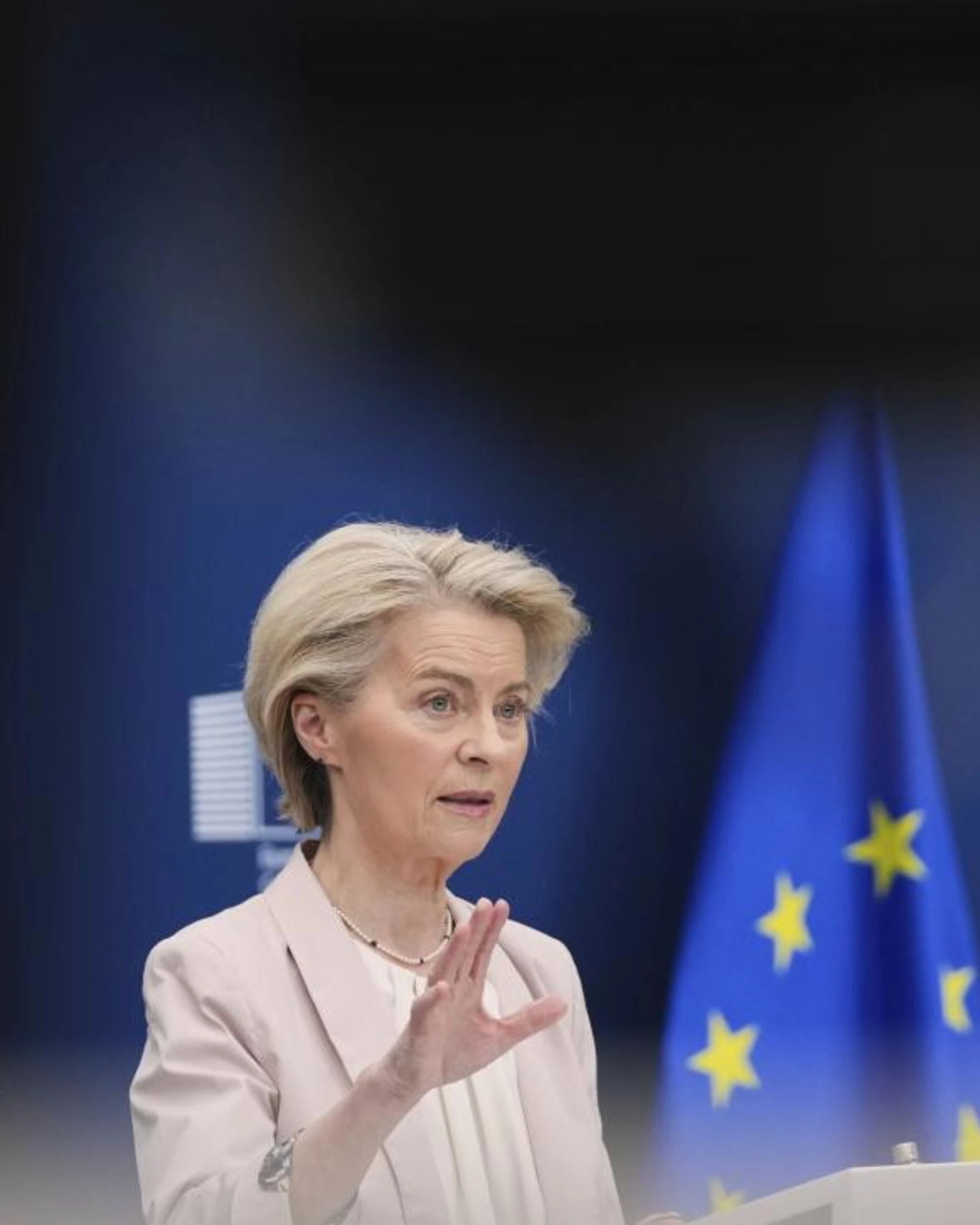 Von der Leyen lancia l'eurotassa: "Servono altre risorse"