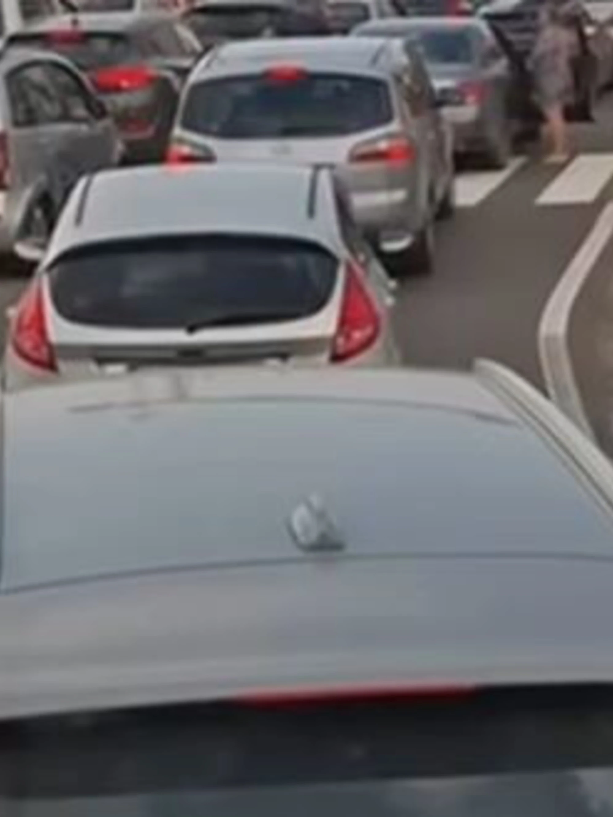 Ponte sullo stretto, il video che imbarazza il Pd: "Hai capito Schlein?"