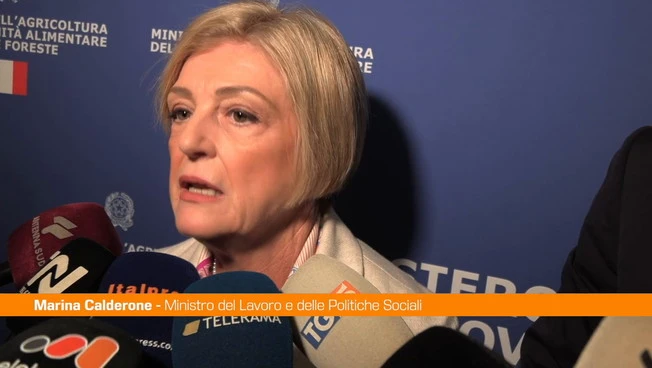 Calderone "Dobbiamo investire sul lavoro e il salario giusto"