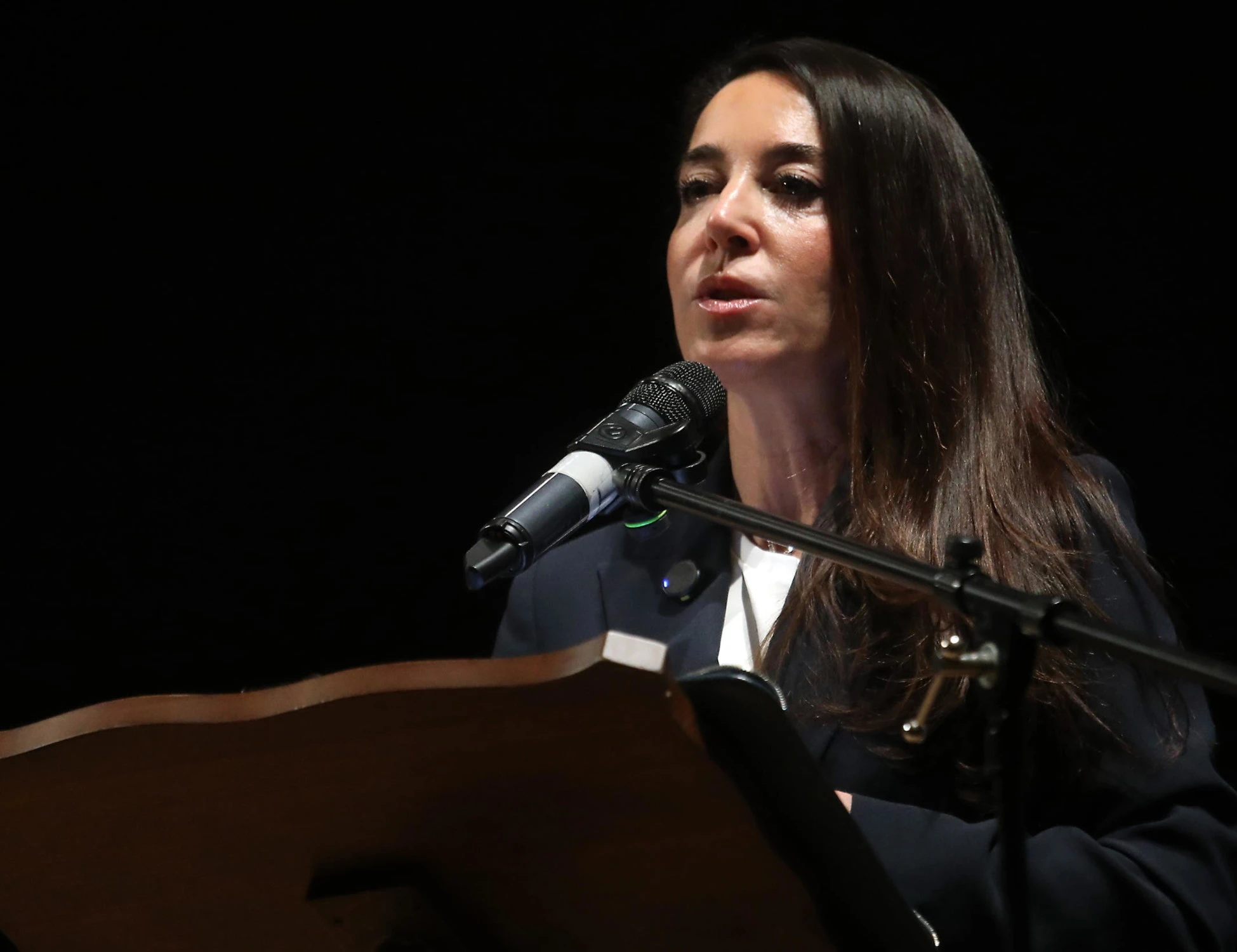 Generale Vannacci, Licia Ronzulli durissima: "Nemmeno con il 30%"