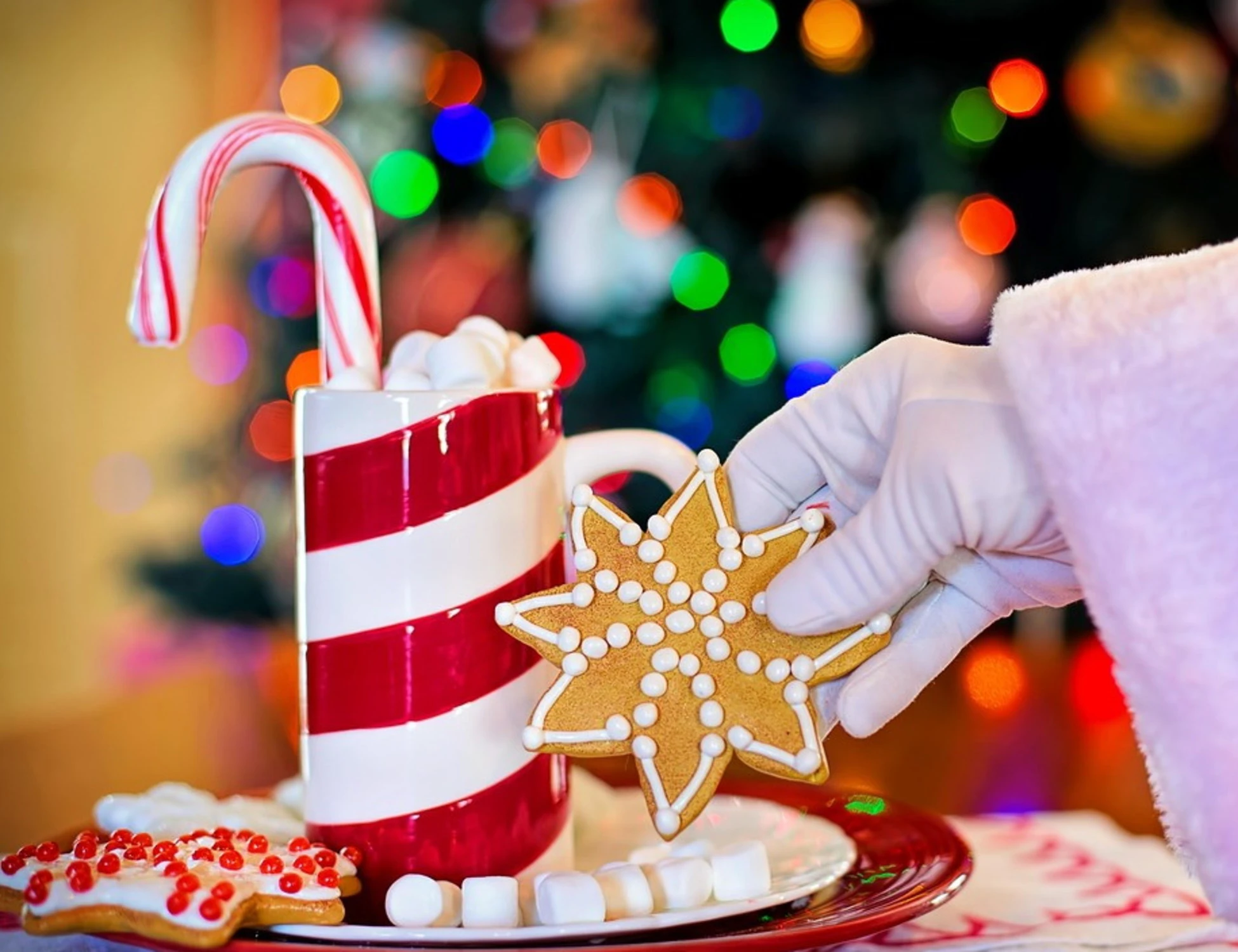 Com'è andato il vostro Natale?