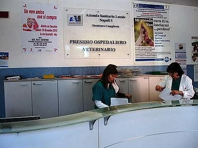 Legambiente, nonostante la crisi i Comuni italiani sono 'pet-friendly'