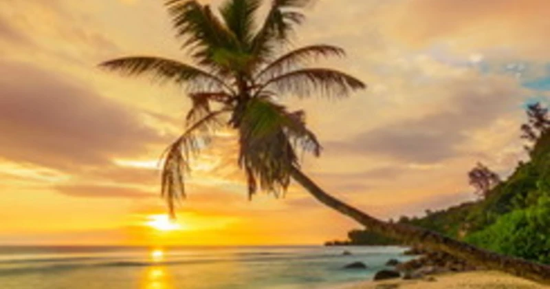 Martinica sensoriale: viaggio nel gusto di un'isola che si racconta attraverso i suoi sapori