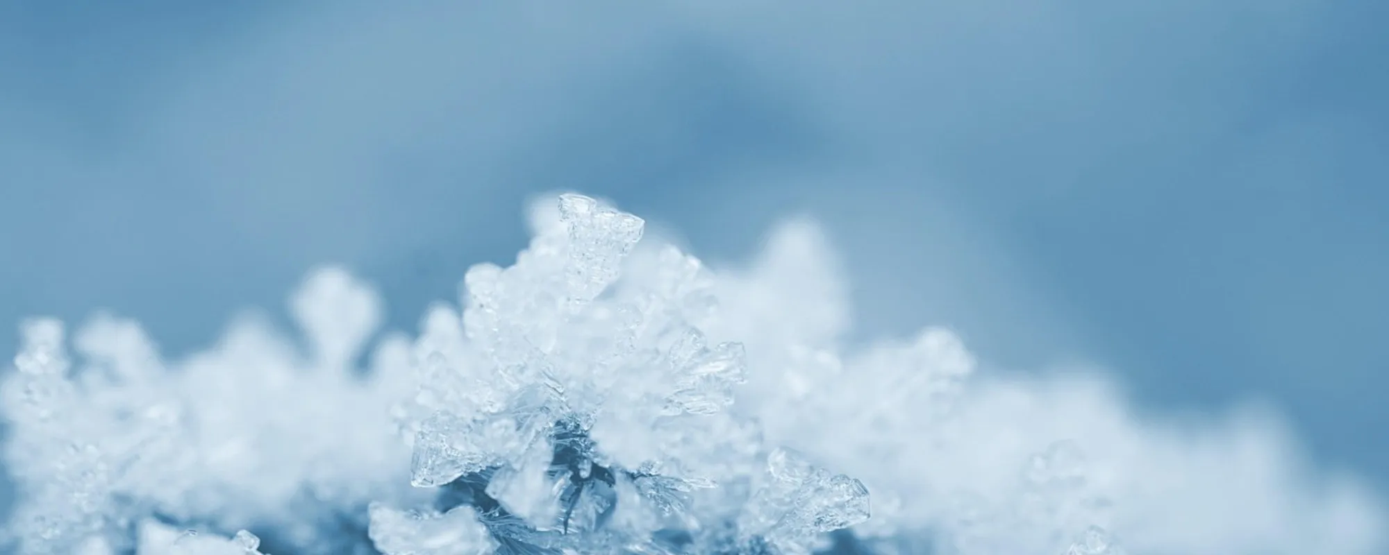 Meteo-incubo: dove si arriverà a -20 gradi