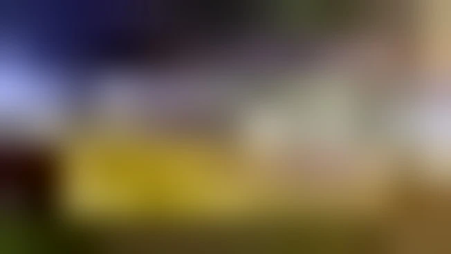 L'estrema destra marcia a Madrid per l'anniversario della morte di Franco