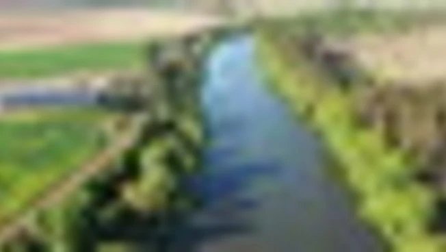 Fiume Po, tredici interventi di rinaturazione per futuro sostenibile