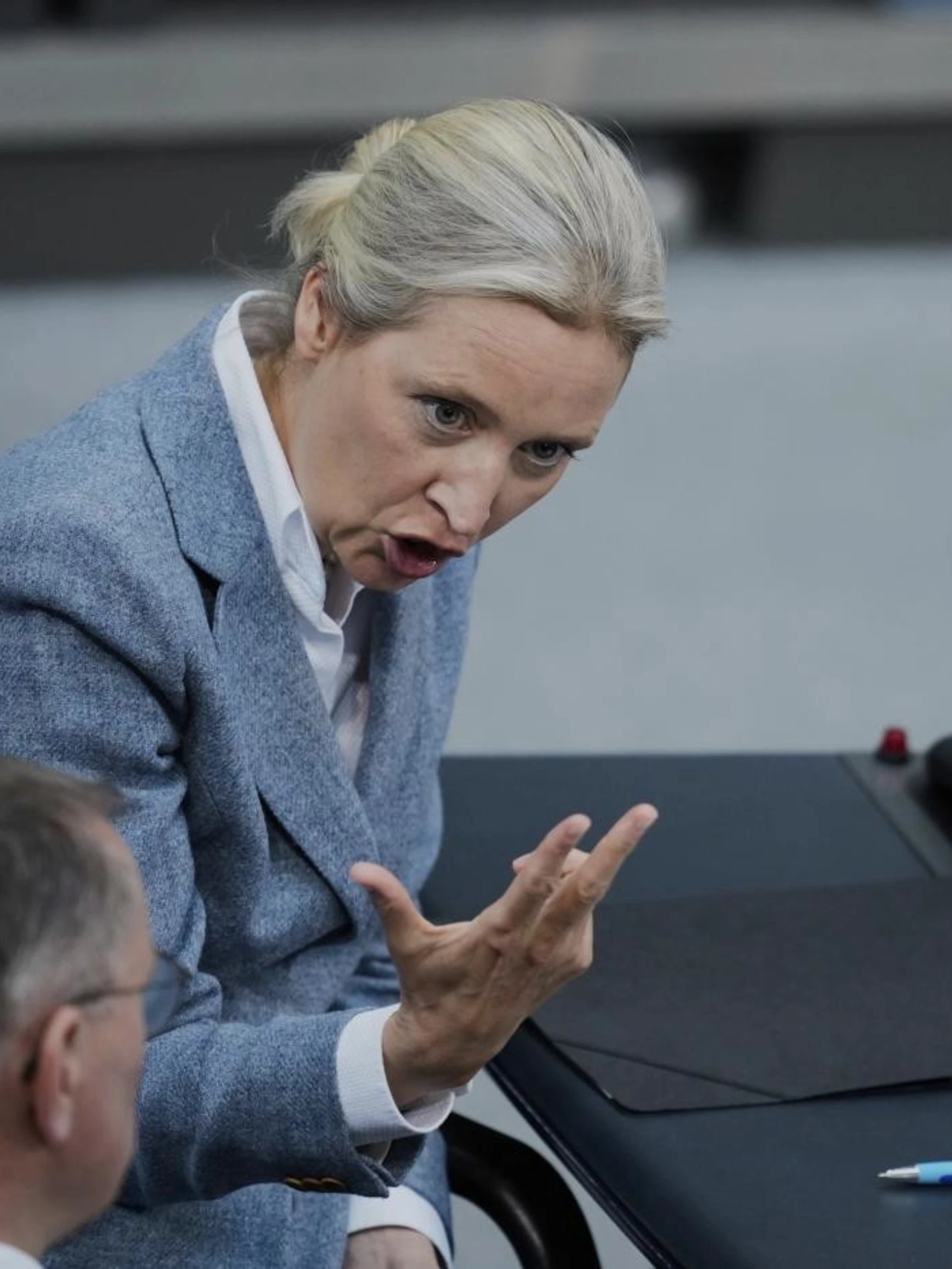 Germania, il sondaggio su AfD e Weidel: "Solo quattro punti di distacco"