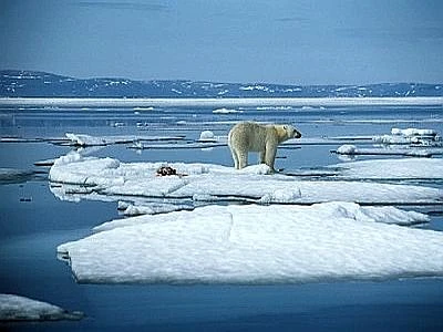 L'inverno artico non esiste più, si stanno sciogliendo i ghiacci del Polo Nord