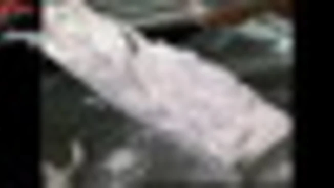 Smantellata rete narcotraffico internazionale, confiscati 82 kg cocaina