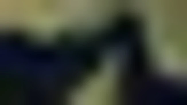 Tregua Usa-Iran tiene ma le petroliere restano bloccate nello Stretto