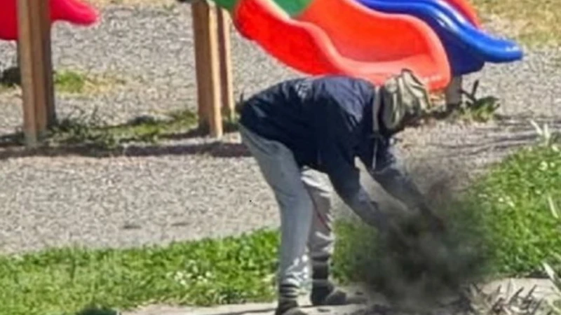 Sarzana, nigeriano arrostisce un gatto per mangiarlo: immagini atroci