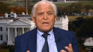 Silvia Romano, Edward Luttwak: "Il governo non deve assumersi la responsabilità se uno parte nonostante il pericolo"