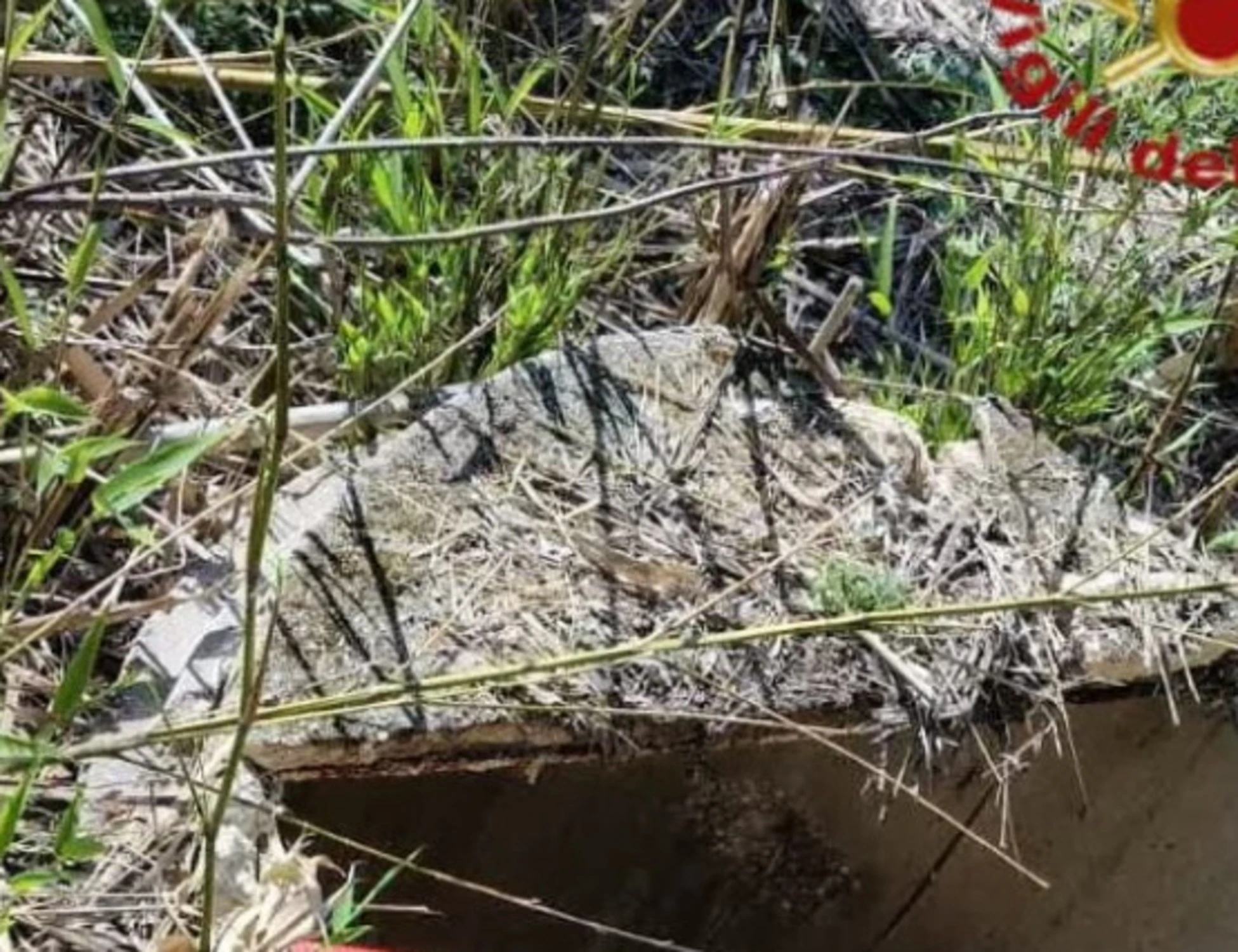 Roma, donna cade in un pozzo e resta bloccata a 15 metri di profondità: salvata dopo un'ora