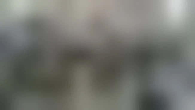 https://media.liberoquotidiano.it/Cn-qkQNBy9Gwe9AVThc8GchVvmrH7pr-SNs476EpXZs/width:800/quality:90/aW1hZ2VzLzIwMjYvMDkvMTcvMTEyODI5MDEyLTE5NjRjMjZjLTYwYzQtNDNhYS04MjI4LWQxNTIwYWY1OGJmMy5qcGc.webp