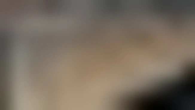 https://media.liberoquotidiano.it/CoAGgrxvHaTPdvEdvHrqrzlPVK_fDTVbnGwBXqc_1vM/width:800/quality:90/aW1hZ2VzLzIwMjYvMDUvMTMvMDY0MzQwODExLWEyNDQyZDc1LWUwNGYtNGVlNi05ZTQ3LTY2ZDcxYzU3N2VlMS5qcGc.webp