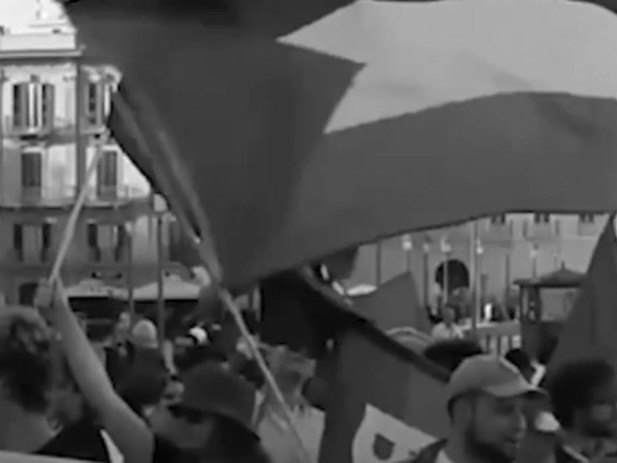 FdI contro i contestatori di Bari: "Nemmeno un tricolore, solo odio, poche persone"