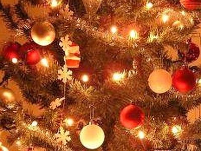 Natale: dagli addobbi al cenone, arriva il 'dec-albero' per feste sostenibili