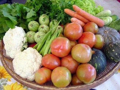 A ottobre le 'biodomeniche' celebrano l'agricoltura familiare