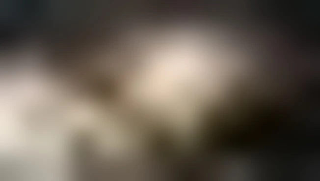 Gli agnelli dall'Est Europa verso i macelli italiani, le immagini