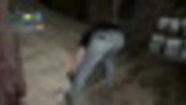 Sequestrate 10 ton. di cocaina su una nave mercantile nell'Atlantico