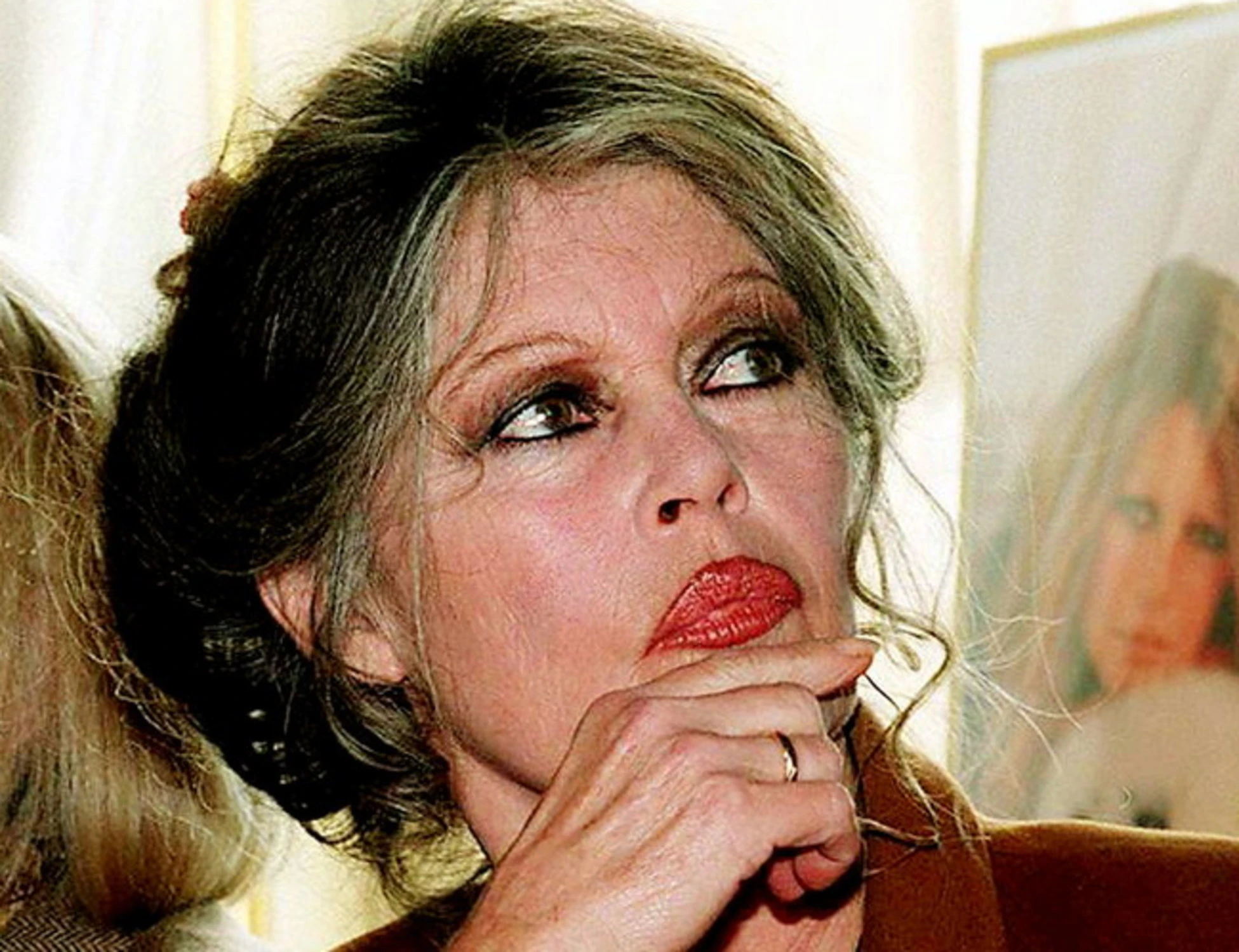 Brigitte Bardot, testamento e mistero: il giallo dei 70 milioni
