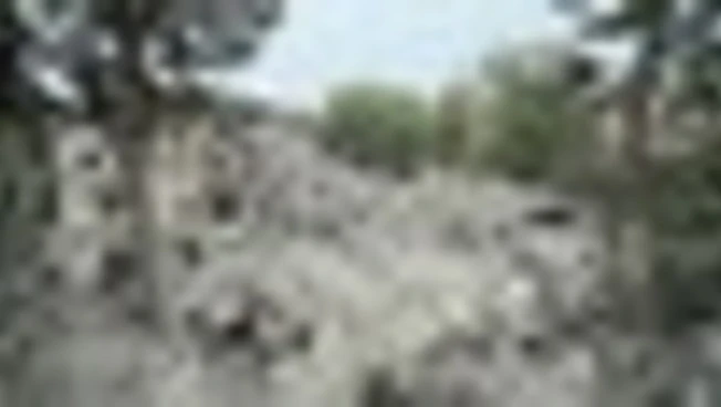 Ucraina, Russia colpisce palazzo a Zaporizhzhia: 12 morti