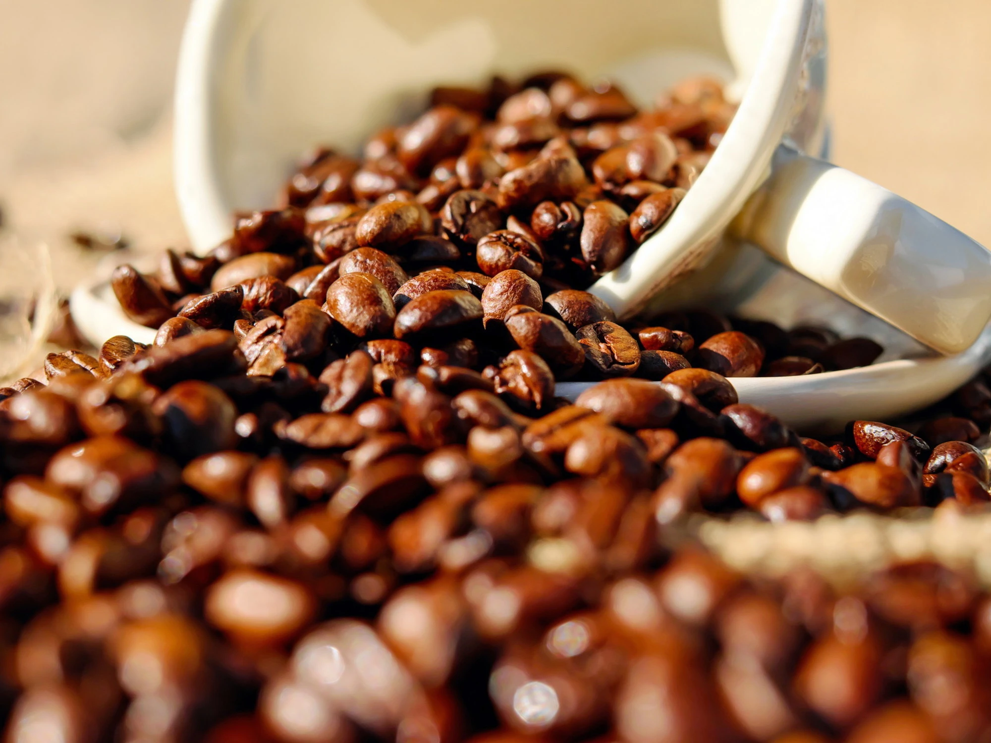 Il caffè rischia di sparire, la corsa della scienza per salvare l'espresso