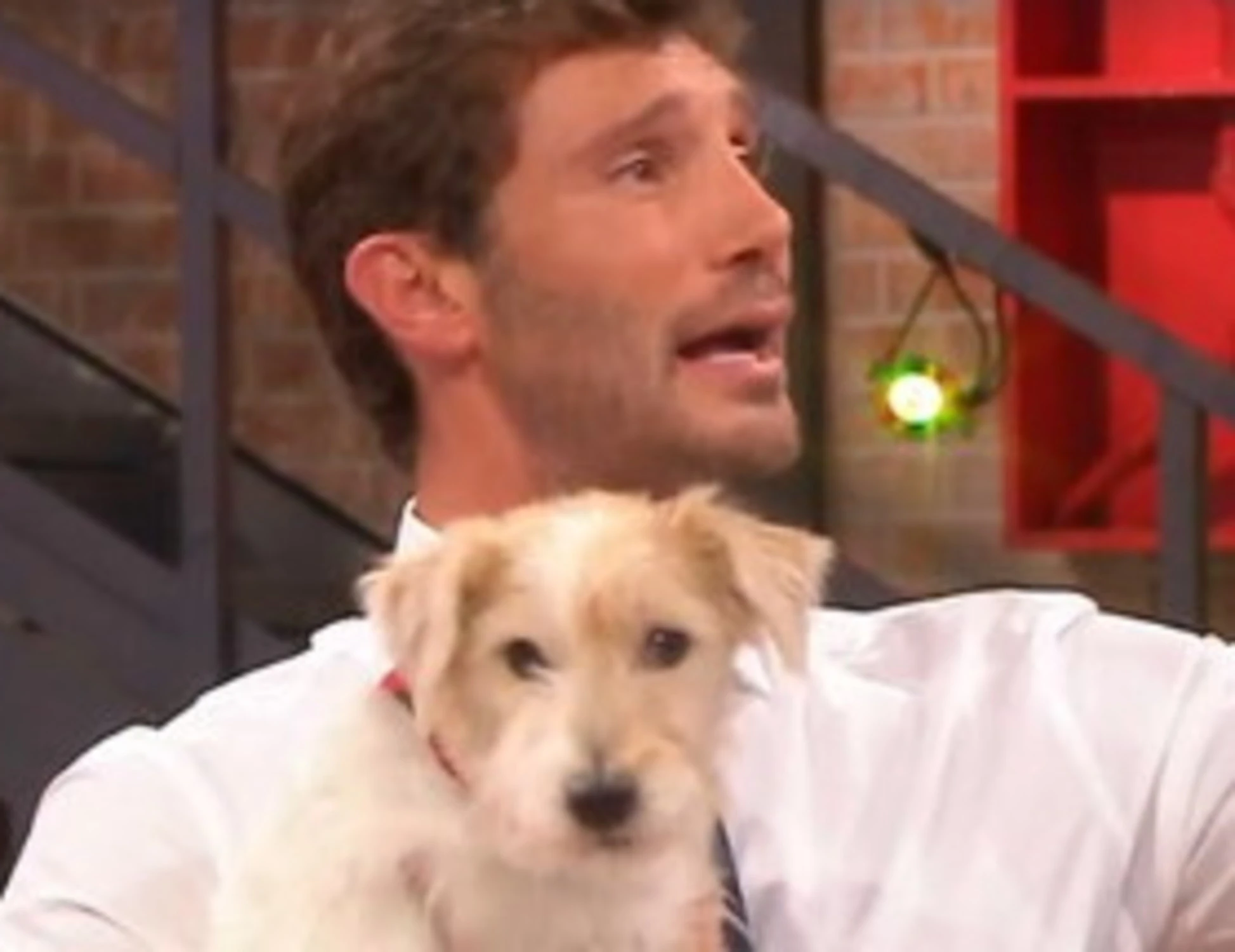 Affari tuoi, "inizia la fortuna": occhio a questa inquadratura