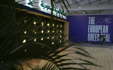 Green deal, Urso: "lo cambiamo insieme a Francia e Germania"
