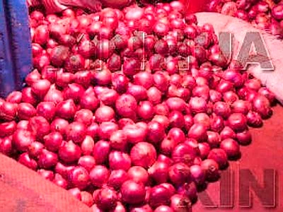 Caro-cipolla in India, la folle crescita dei prezzi diventa problema politico