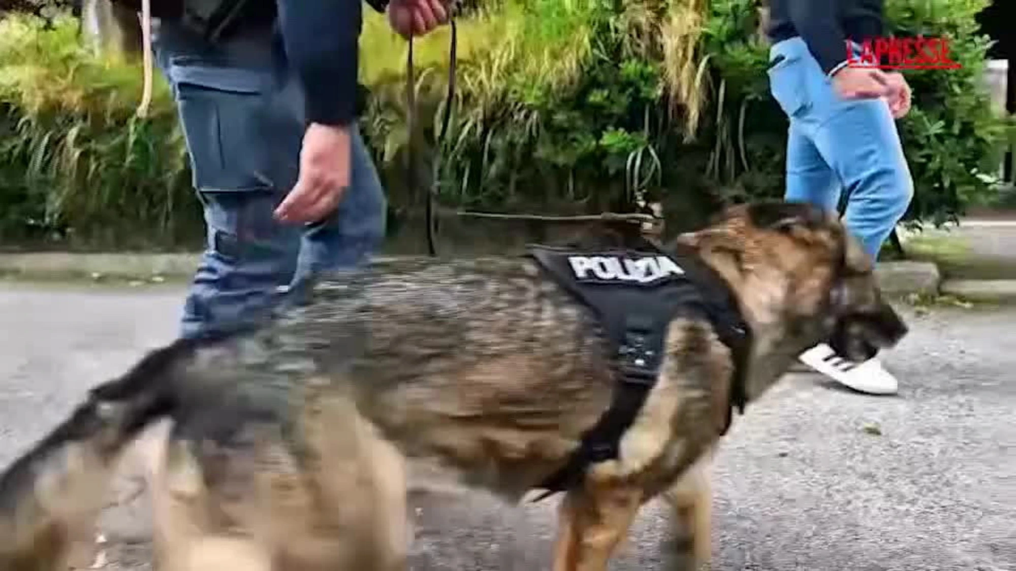 Roma, smantellato business della droga familiare: arrestati padre e figlio