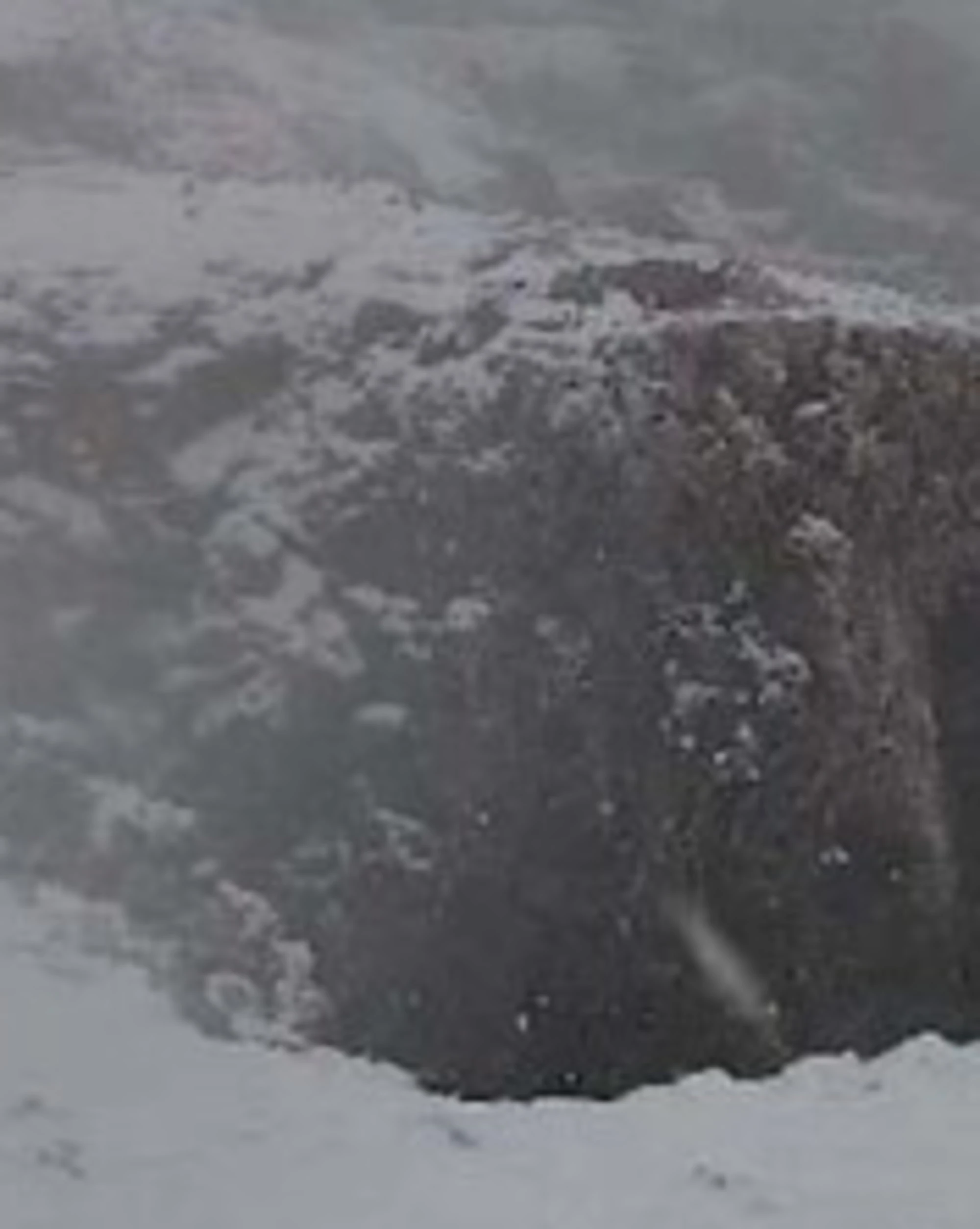 Meteo, figuraccia Bonelli-Fratoianni: cosa sta accadendo sulle Alpi