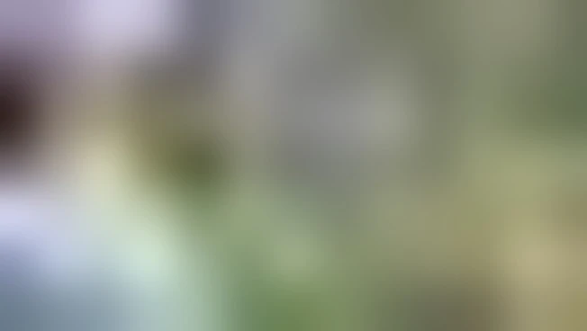 Si schianta aereo militare in Colombia: 66 morti e dispersi