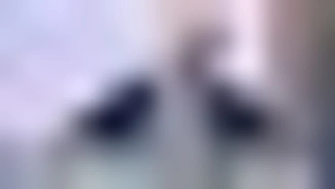 Transizione, Nevali (Assistal): Tempistiche chiare aiutano