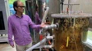 BeeVi, il water del futuro: così le nostre feci riscaldano il palazzo che abitiamo, ecco cosa state vedendo