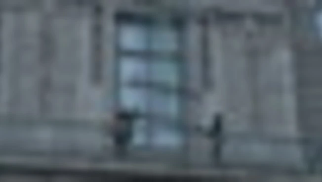 Al Louvre installata infine una grata sulla finestra del furto