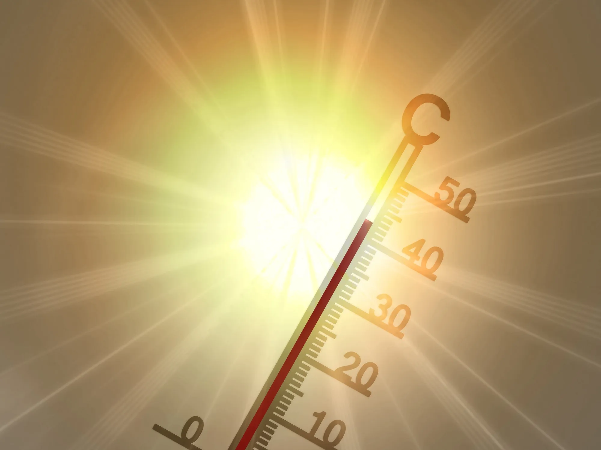 Leggi l'articolo: Caldo record, 6 consigli (e un falso mito) per difendersi