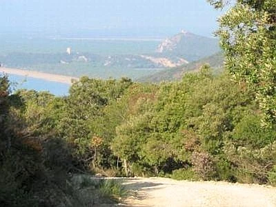 Wwf Italia chiede il riordino degli enti parco entro la fine della legislatura