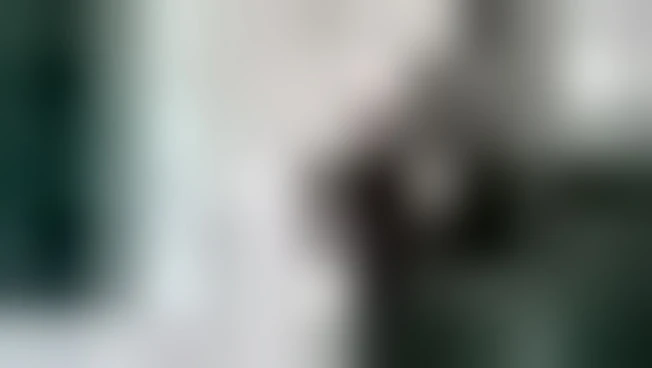 https://media.liberoquotidiano.it/Dt8BphsjztoPX-XWTRwzelcjgmR0kmktCij3gPcOGIk/width:800/quality:90/aW1hZ2VzLzIwMjUvMTAvMDMvMTc0ODIxNjIzLWVkZTJkYTY4LTAxYTEtNDhjNy04NjkwLTM4MzY4YjYxYTNlNC5qcGc.webp