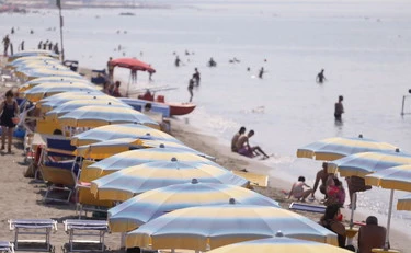 Spiagge, "furto" di conchiglie? Ecco dove rischi la stangata