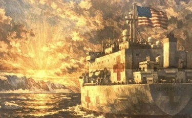 Groenlandia, botta e risposta avvelenato con Trump: "Nave ospedale Usa in arrivo", "No grazie"