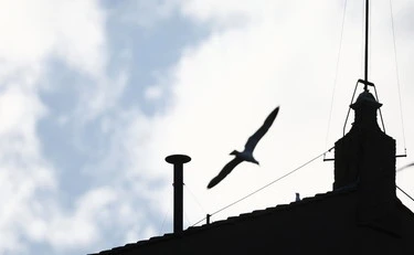 Conclave, la diretta: il giallo sulla fumata