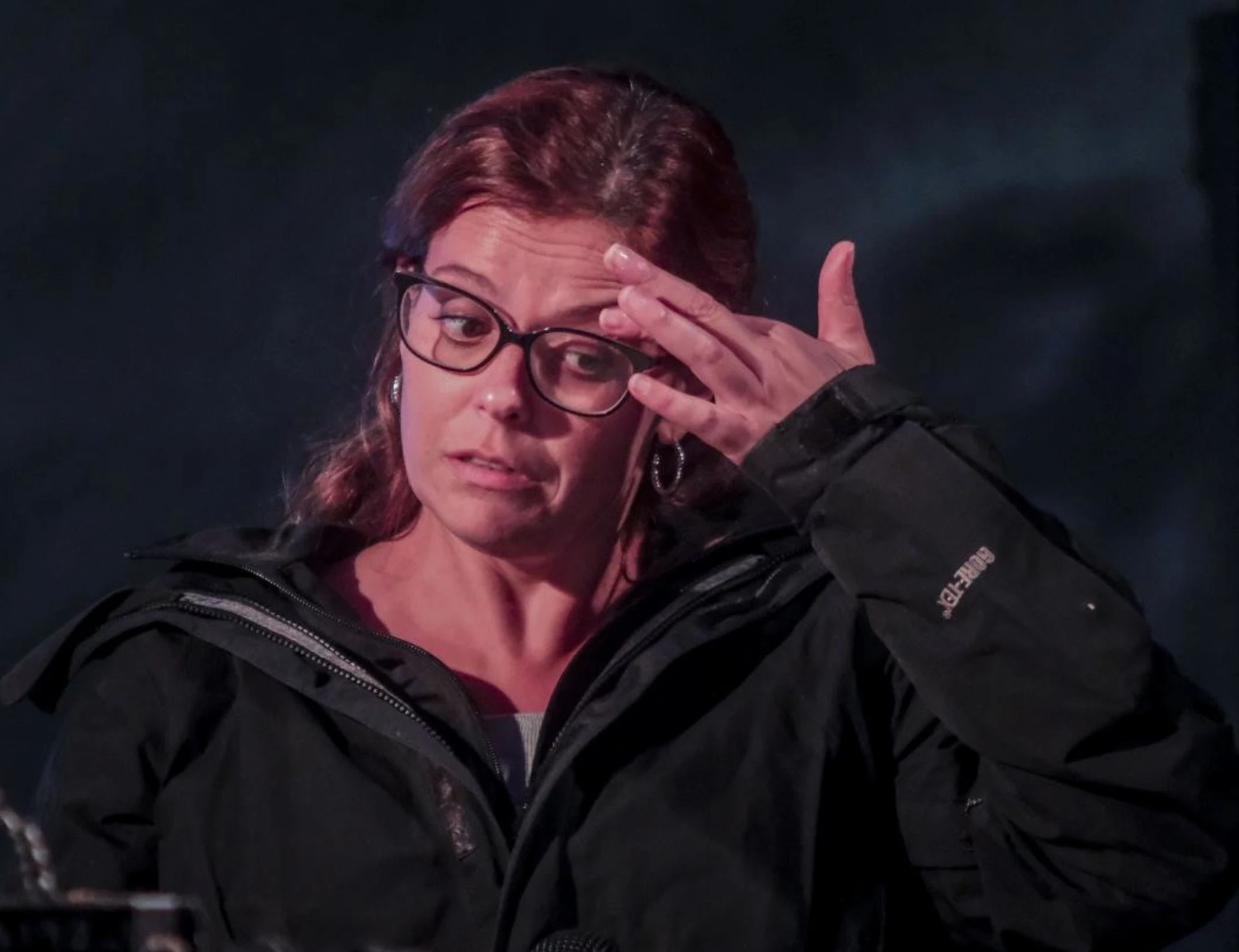 Ilaria Salis, "fanc*** la bianchezza": l'ultima vergogna