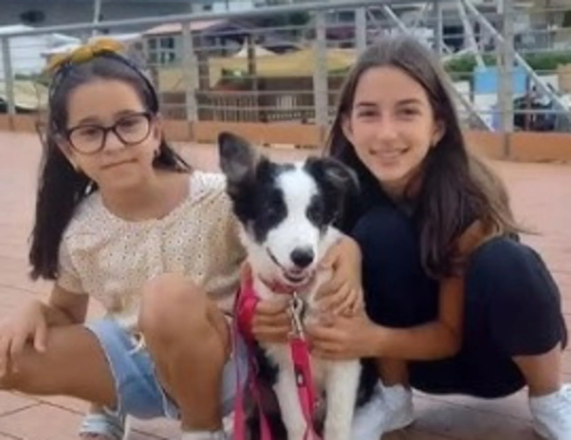 Sorelle scomparse, lo strazio della mamma: "Credo siano morte"