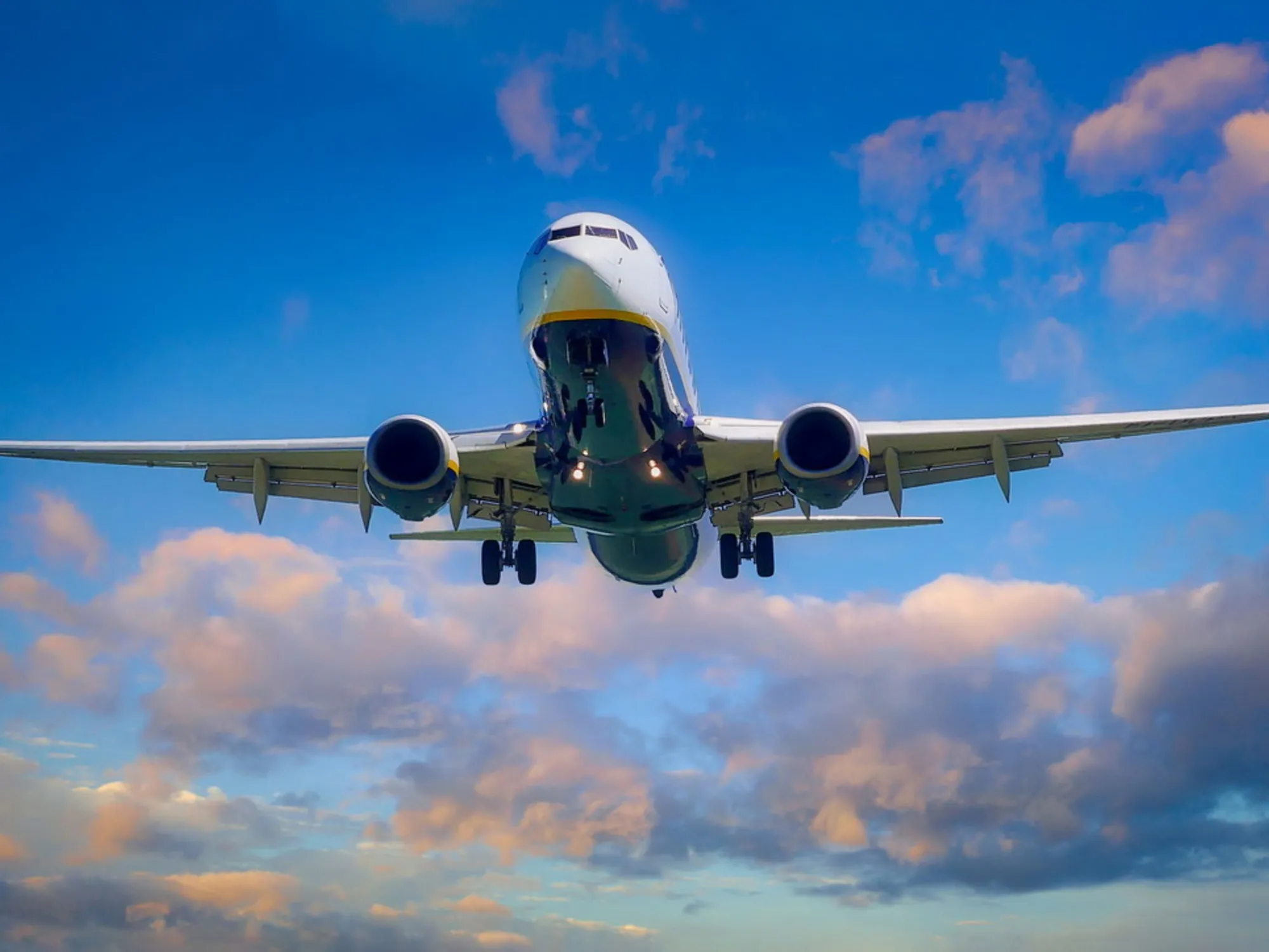 Leggi l'articolo: Ecco dove colpisce di più l'influenza: occhio a questi voli