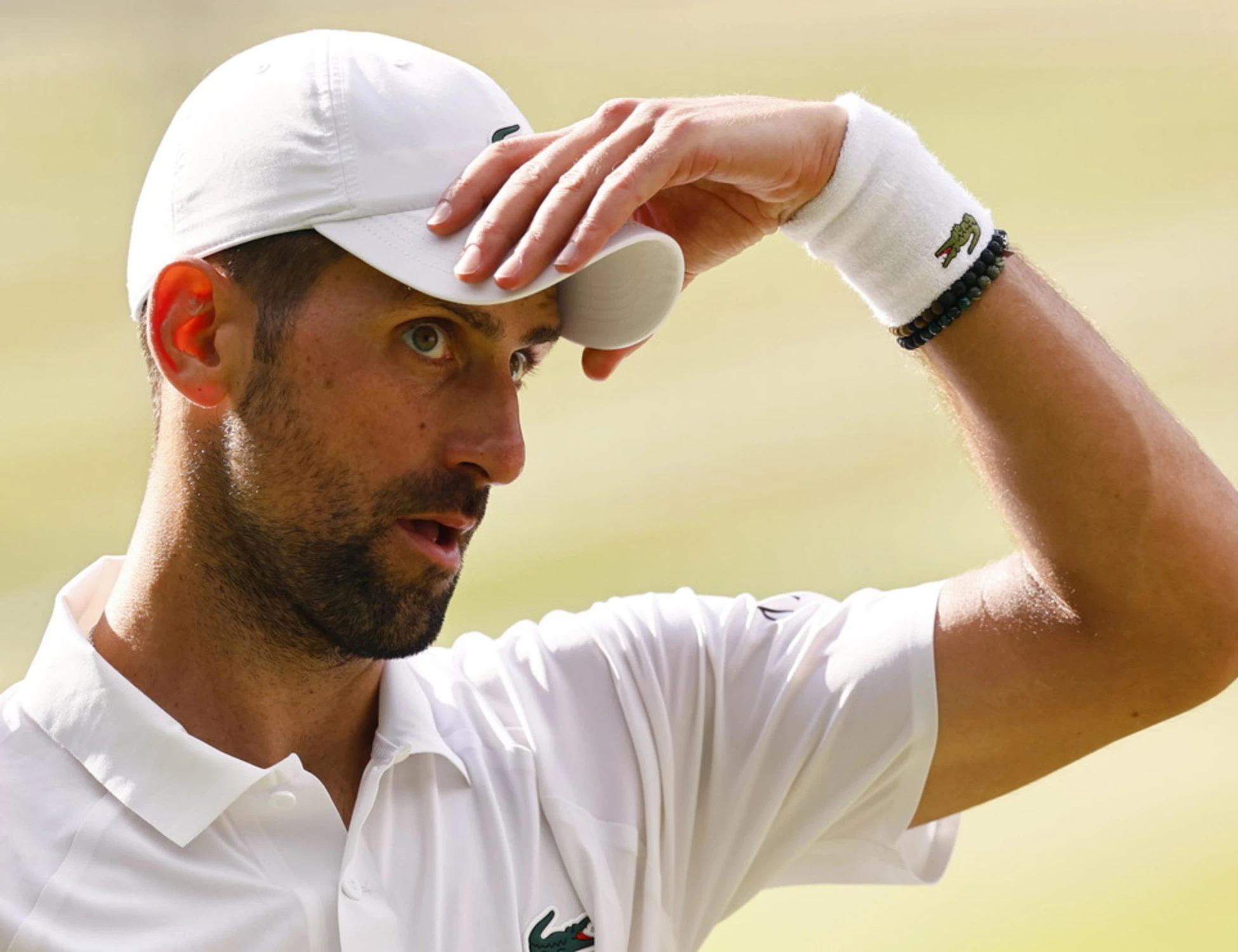 "La biologia mi presenta il conto": Djokovic si arrende a Jannik Sinner