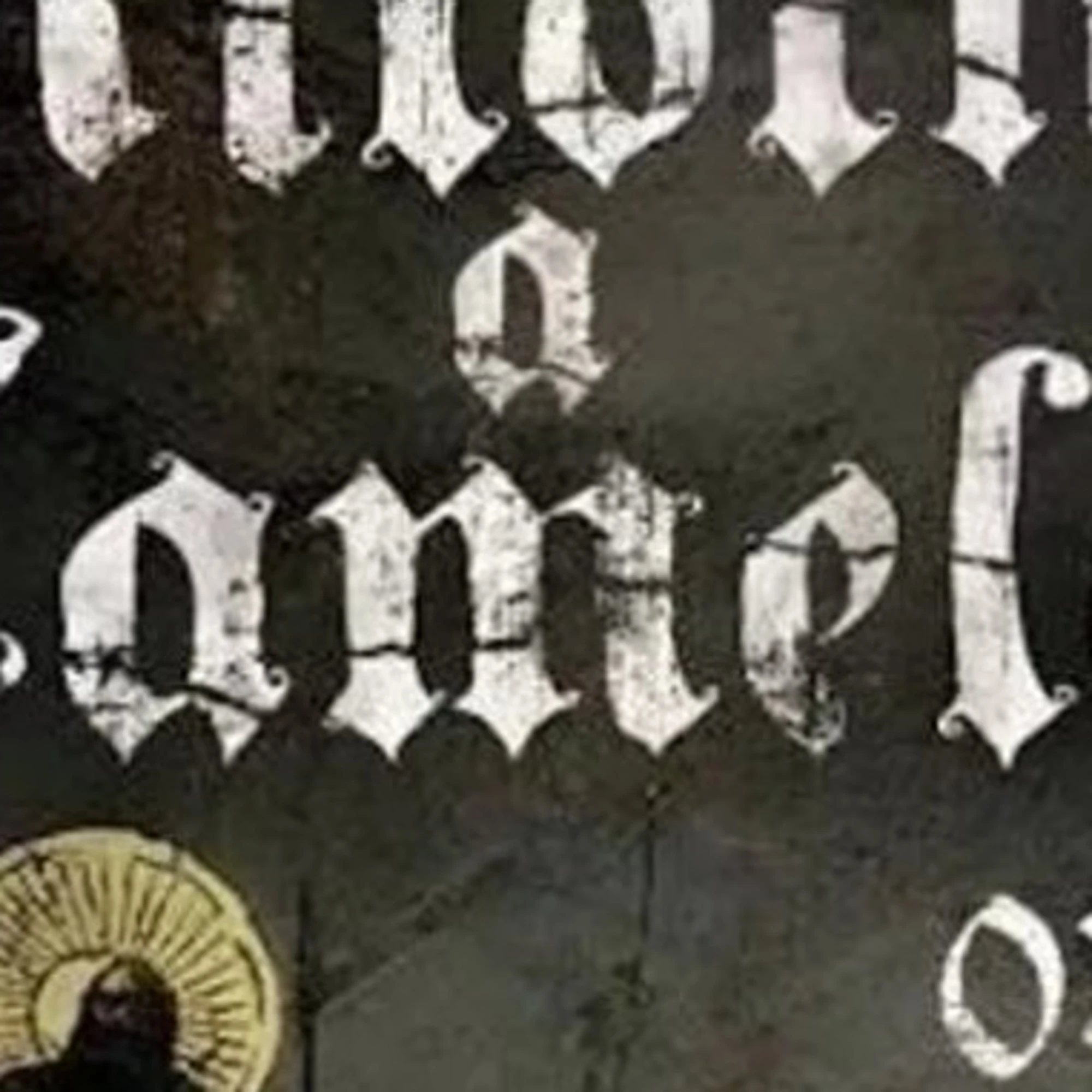 La festa (privata) degli skinhead nel mirino di Avs