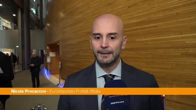Procaccini "Dividere l'Unione Europea dagli Stati Uniti è un errore"
